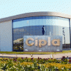 About NCIPLA