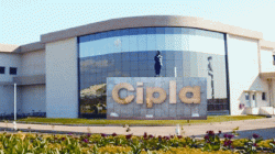 About NCIPLA