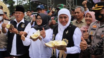 Perkuat Ketahanan Pangan Lokal, Desa Kandangan Lumajang Gelar “Festival Lahar Polo Pendem